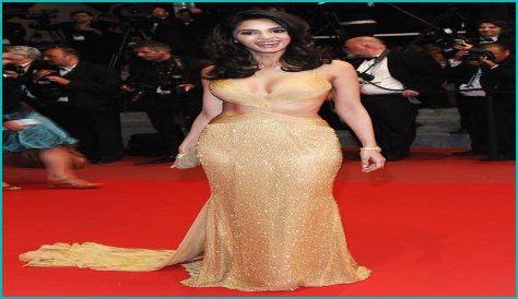 Mallika Sherawat Net Worth - Wiki, Age, Weight and Height, Relationships, Family, and More